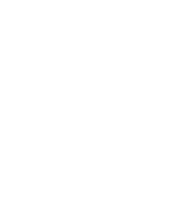 Soft Disclosure Logo Small